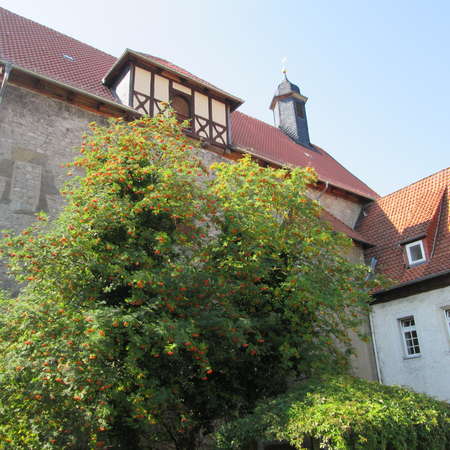 Bild vergrößern: Poppenburg Burgstemmen (3)
