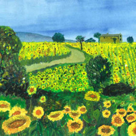 Bild vergr&ouml;&szlig;ern: Blumenwiese