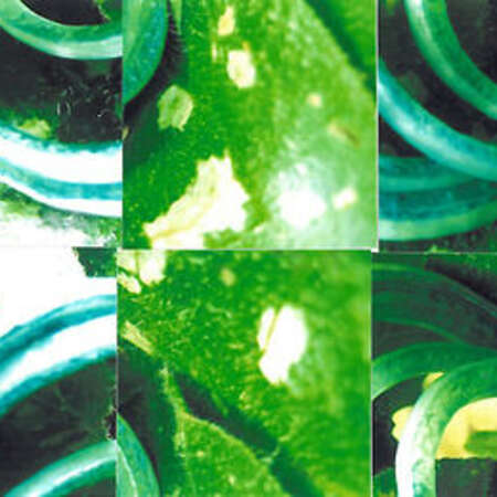 Bild vergrößern: Zwiebelcollage grün 2