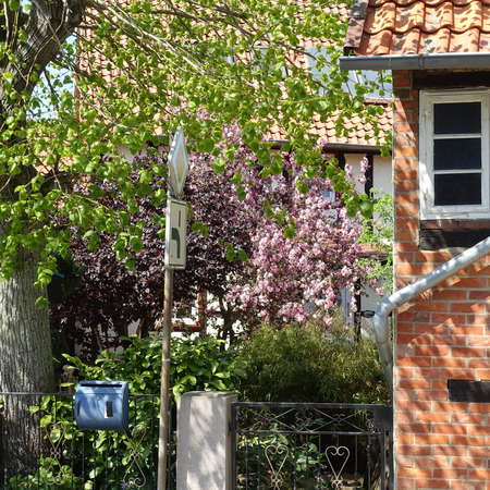 Bild vergr&ouml;&szlig;ern: Deilmissen1