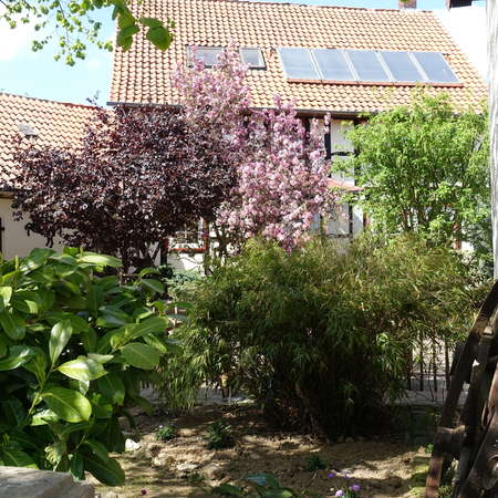 Bild vergr&ouml;&szlig;ern: Deilmissen2