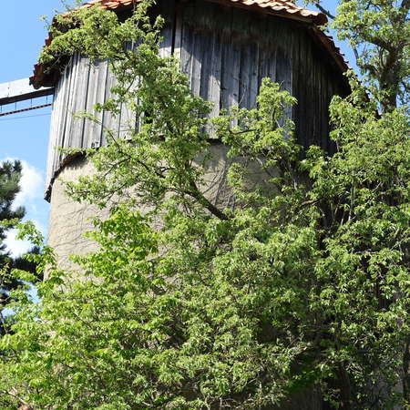 Bild vergr&ouml;&szlig;ern: Deilmissen7