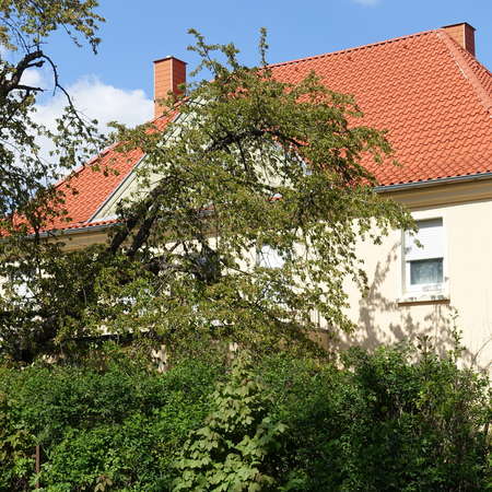 Bild vergr&ouml;&szlig;ern: Deilmissen8