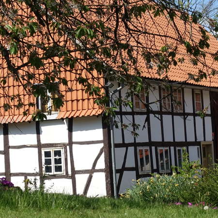 Bild vergr&ouml;&szlig;ern: Deilmissen9