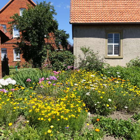 Bild vergr&ouml;&szlig;ern: Schulgarten