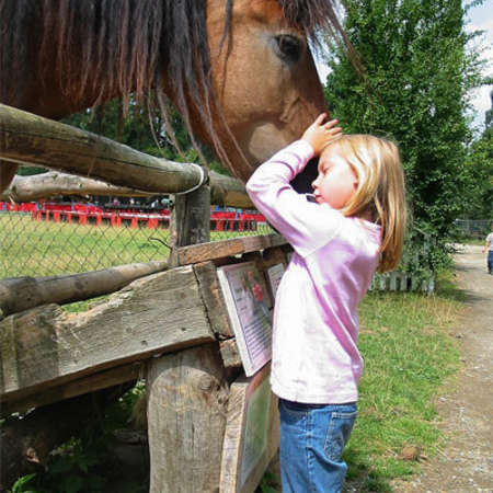 Bild vergrößern: Pferd&Kind