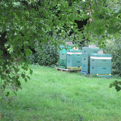 Bild vergr&ouml;&szlig;ern: Imker_Heinsen1