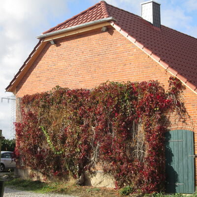 Bild vergr&ouml;&szlig;ern: Gutshof3