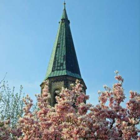 Bild vergr&ouml;&szlig;ern: St. C&auml;cilia im Fr&uuml;hling