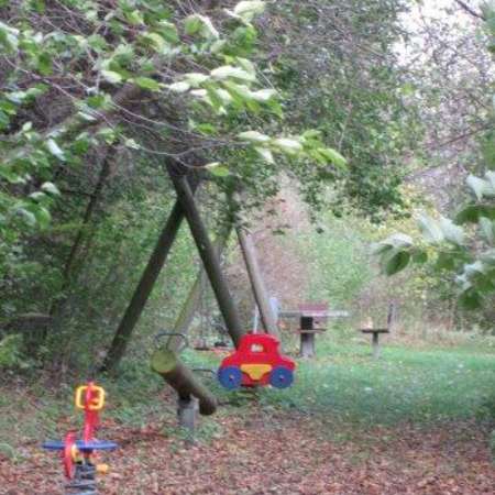 Bild vergr&ouml;&szlig;ern: Spielplatz am Rodelberg H&ouml;nnersum (Sommer)