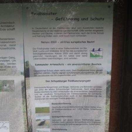 Bild vergr&ouml;&szlig;ern: Infotafel am Rodelberg (nah)