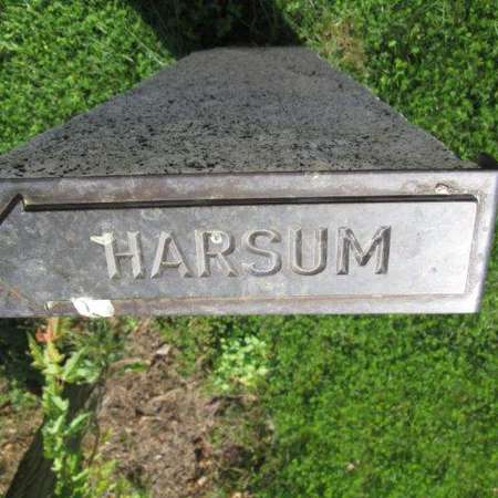 Bild vergr&ouml;&szlig;ern: Stehle Harsum (7)