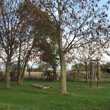 Bild vergr&ouml;&szlig;ern: Am Ortsrand von H&ouml;nnersum Erlebniswiese