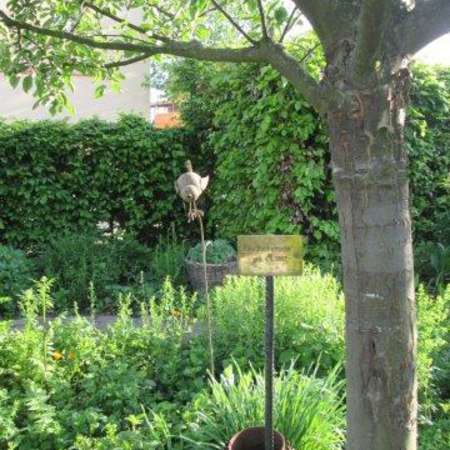 Bild vergr&ouml;&szlig;ern: Im Schulgarten (2)