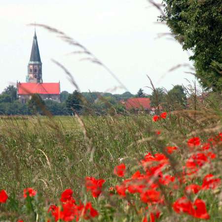 Bild vergr&ouml;&szlig;ern: Blick nach Harsum