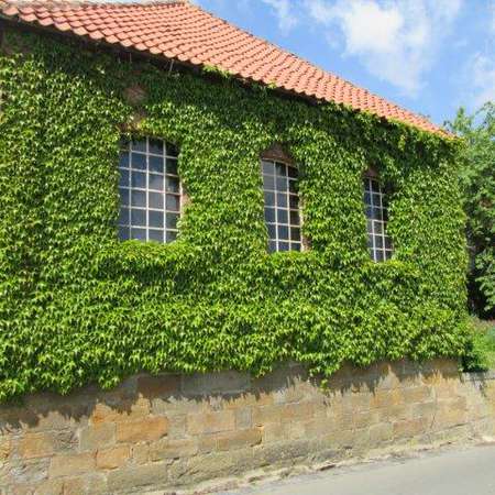 Bild vergr&ouml;&szlig;ern: Alte Schmiede Hackenstedt