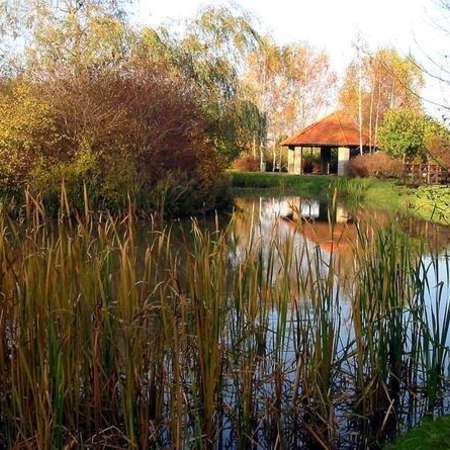 Bild vergr&ouml;&szlig;ern: B&uuml;rgerpark Sillium