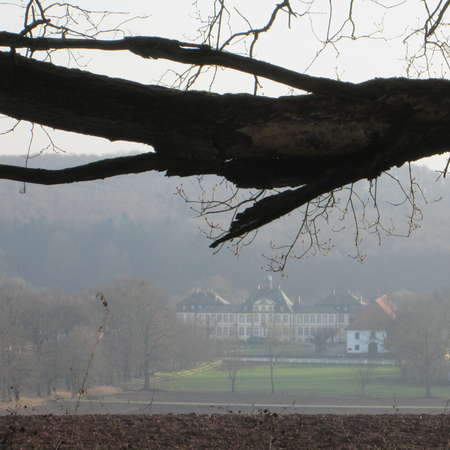 Bild vergrößern: Blick vom Hutewald auf Schloss Söder