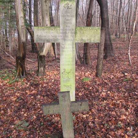 Bild vergr&ouml;&szlig;ern: Grab der Freiin Anna von Hammerstein, geb. Gr&auml;fin von Stolberg in S&ouml;der