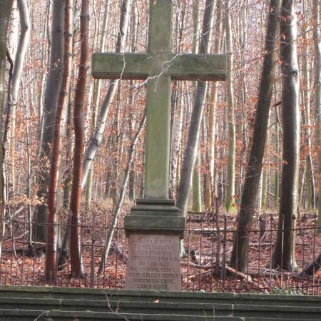 Bild vergr&ouml;&szlig;ern: Kreuz auf dem Waldfriedhof von S&ouml;der