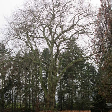 Bild vergr&ouml;&szlig;ern: Im Landschaftspark von Schloss S&ouml;der