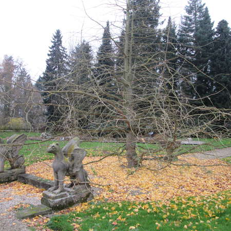 Bild vergrößern: Im Landschaftspark von Schloss Söder