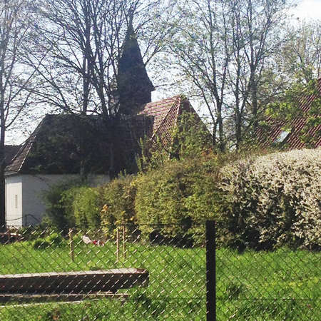 Bild vergr&ouml;&szlig;ern: Klein F&ouml;rste