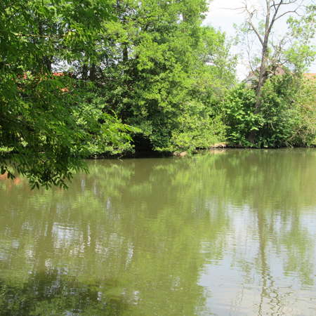Bild vergr&ouml;&szlig;ern: Schlossteich mit Nisthilfen f&uuml;r Eisv&ouml;gel R&ouml;ssing