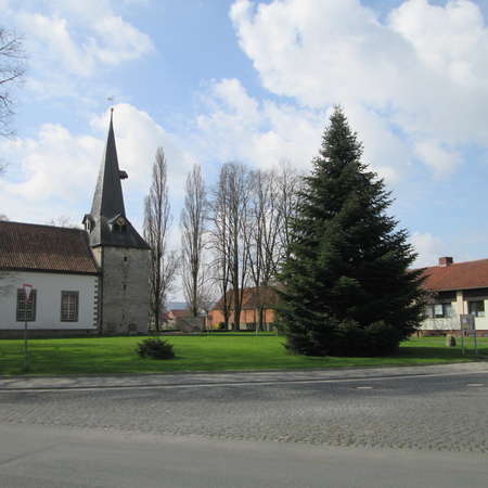 Bild vergrößern: Fichte an der Christuskirche in Bönnien