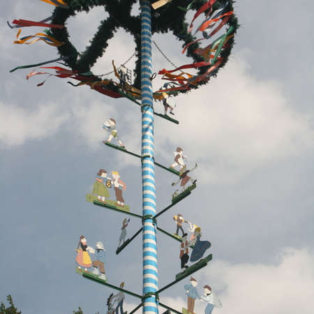 Bild vergr&ouml;&szlig;ern: Maibaum auf der Welle