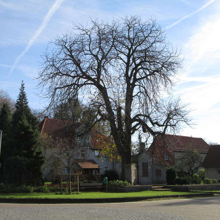 Bild vergr&ouml;&szlig;ern: Thielinde Hasede