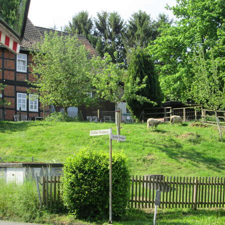 Bild vergr&ouml;&szlig;ern: B&uuml;ltum (19)