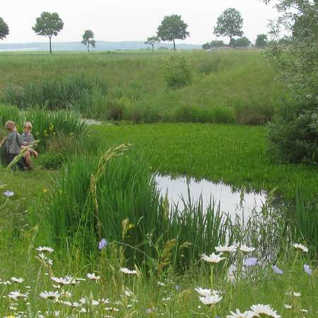 Bild vergr&ouml;&szlig;ern: 36_Teich