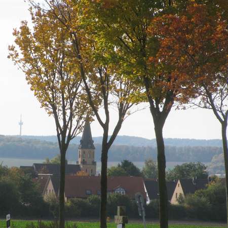 Bild vergr&ouml;&szlig;ern: 2_Geschichtliches