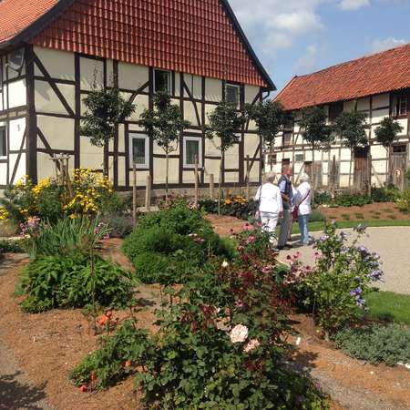 Bild vergr&ouml;&szlig;ern: WallenstedtGarten_5