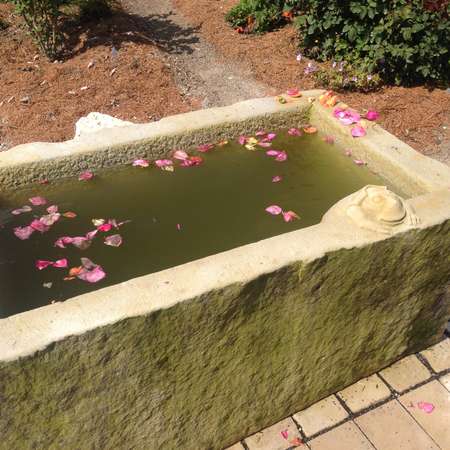 Bild vergr&ouml;&szlig;ern: WallenstedtGarten4