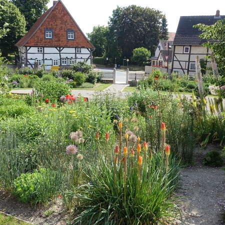 Bild vergr&ouml;&szlig;ern: WallenstedtDorfpark1