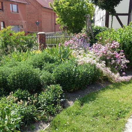 Bild vergr&ouml;&szlig;ern: Wallenstedt_Dorfpark2