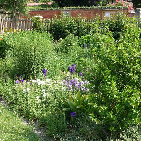 Bild vergr&ouml;&szlig;ern: Wallenstedt_Dorfpark