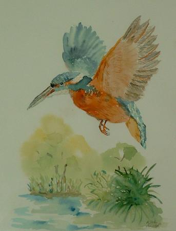 Bild vergr&ouml;&szlig;ern: Angela St&ouml;be _Eisvogel_ Aquarell