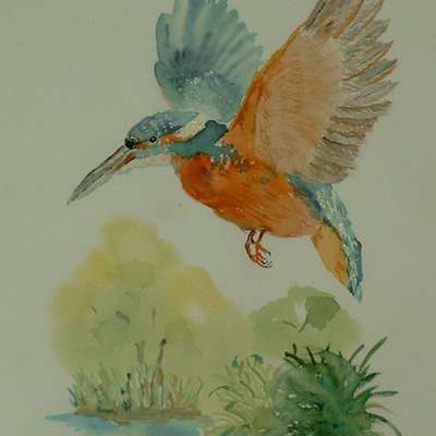 Bild vergr&ouml;&szlig;ern: Angela St&ouml;be _Eisvogel_ Aquarell