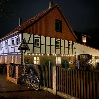 Bild vergr&ouml;&szlig;ern: teatr dach e.V. bei Nacht