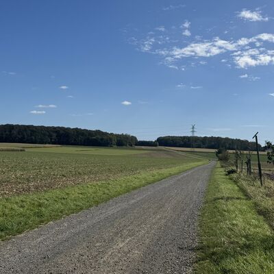 Bild vergr&ouml;&szlig;ern: Bettrumer_Lah