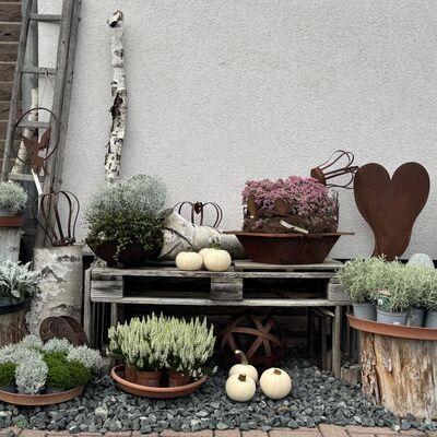 Bild vergr&ouml;&szlig;ern: Blumenecke_Stach3