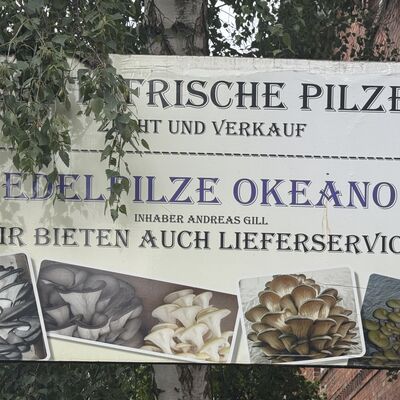 Bild vergr&ouml;&szlig;ern: Edelpilze_Okeano2