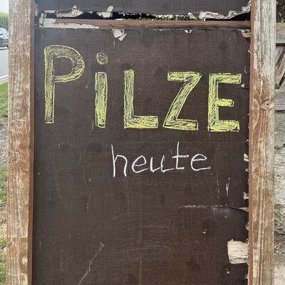 Bild vergr&ouml;&szlig;ern: Edelpilze_Okeano1