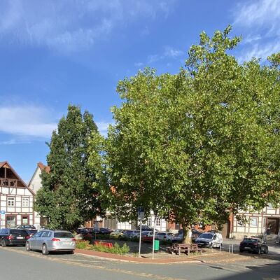 Bild vergr&ouml;&szlig;ern: Marktplatz1