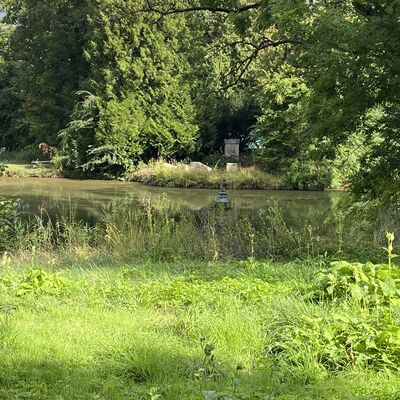 Bild vergr&ouml;&szlig;ern: SchlossBodenburgTeich2
