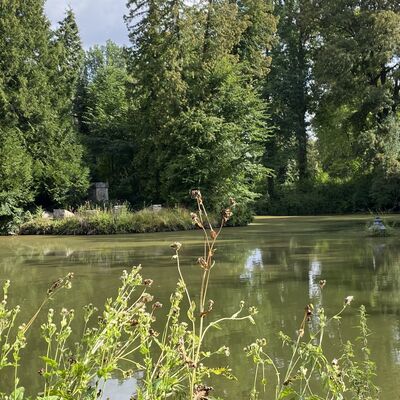 Bild vergr&ouml;&szlig;ern: SchlossBodenburgTeich3