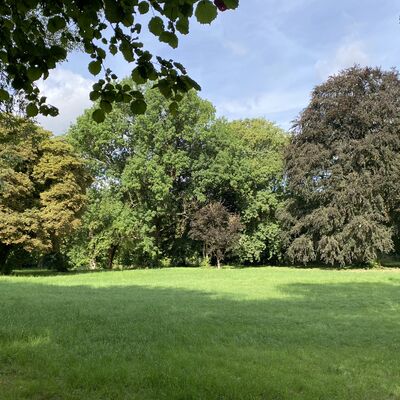 Bild vergr&ouml;&szlig;ern: Schlosspark6
